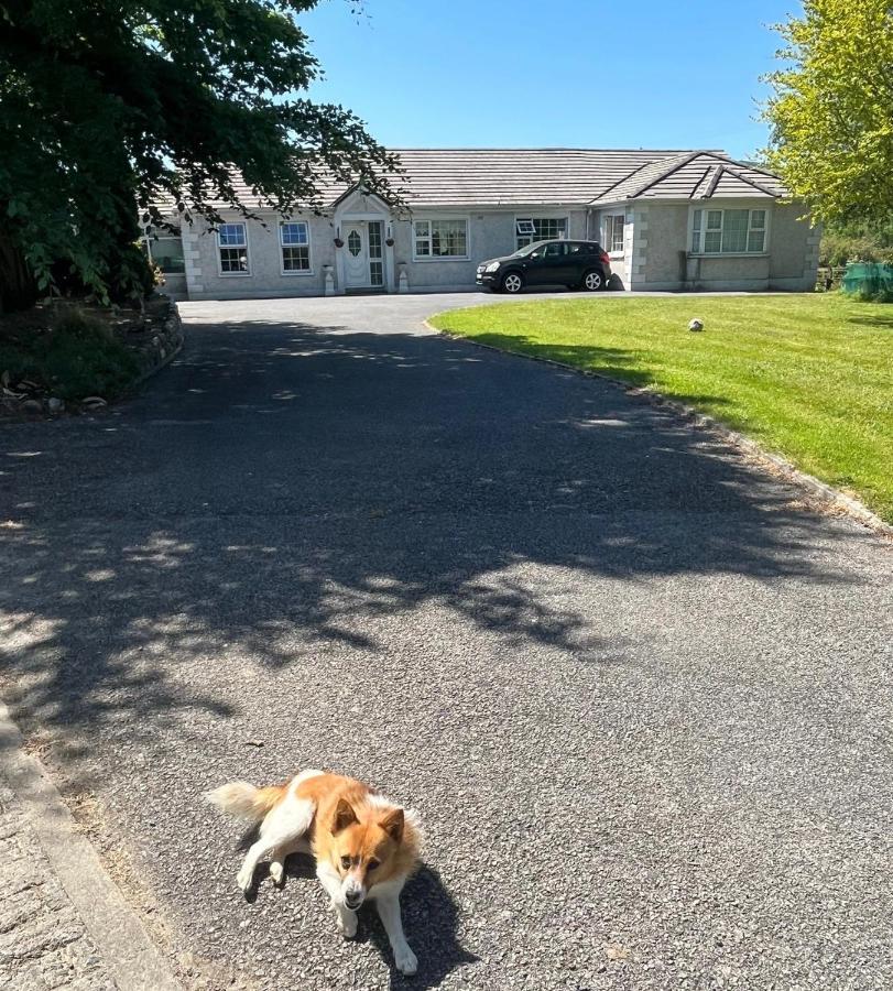Graiguenamanagh Homestay Exterior foto